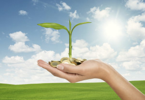 Grow your business - Affinity Accounting Plus : Brisbane Accountants